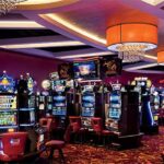 Stay Safe With Eat & Run Verification Website